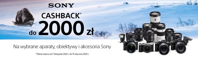 Sony Black Friday w Foto-Plus Sony Black Friday w Foto-Plus