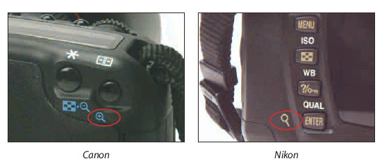 Jak robi� naprawd� ostre zdj�cia? - Powi�ksz podgl�d zdj�cia, aby sprawdzi� ostro��