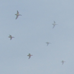 Fotografowanie scen o du�ej rozpi�to�ci tonalnej - Fotoszko�a Sony: Lekcja 3