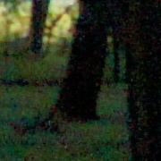 Fotografowanie scen o du�ej rozpi�to�ci tonalnej - Fotoszko�a Sony: Lekcja 3