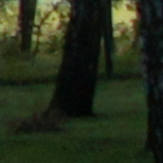 Fotografowanie scen o du�ej rozpi�to�ci tonalnej - Fotoszko�a Sony: Lekcja 3