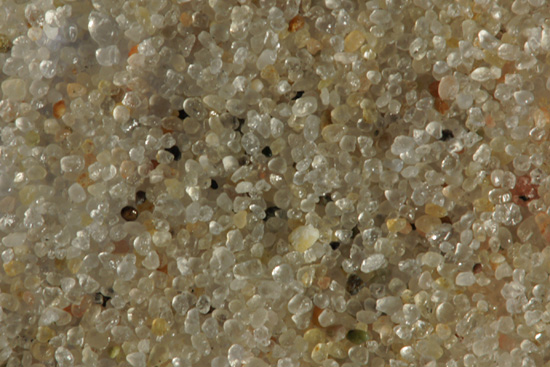 Makrofotografia - Fotoszko�a Sony: Lekcja 4