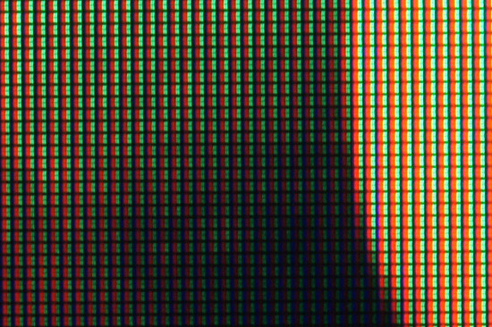 Makrofotografia - Fotoszko�a Sony: Lekcja 4