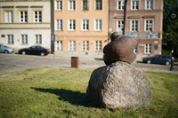 Samyang AF 50 mm f/1.4 FE II - zdjcia przykadowe