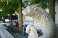 Samyang AF 50 mm f/1.4 FE II - zdjcia przykadowe