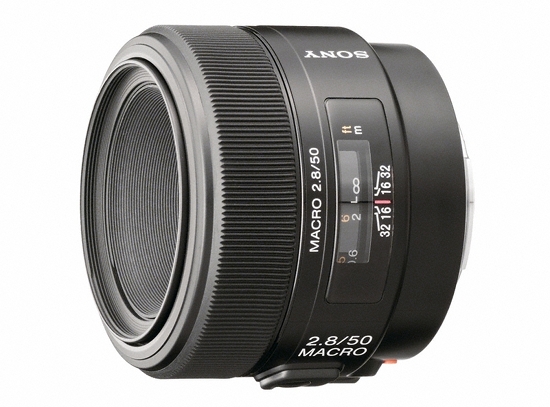 Makrofotografia - Fotoszko�a Sony: Lekcja 4