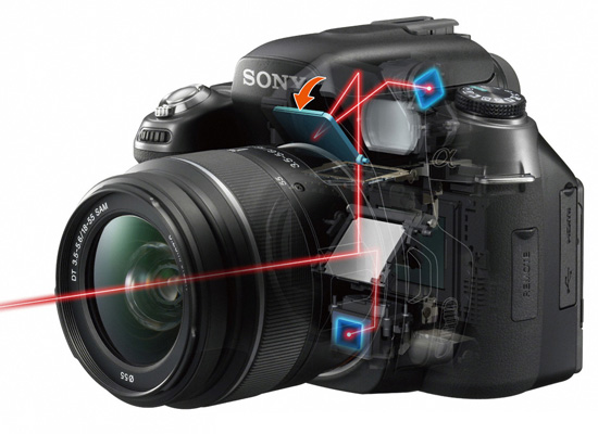 Wykorzystanie trybu seryjnego i autofokusu - Fotoszko�a Sony: Lekcja 5