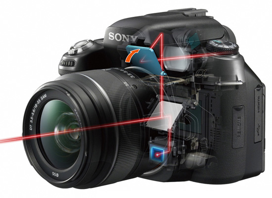 Wykorzystanie trybu seryjnego i autofokusu - Fotoszko�a Sony: Lekcja 5