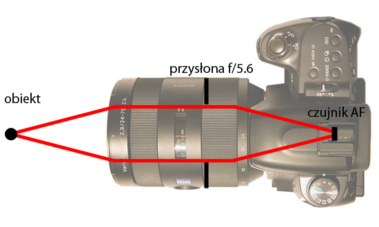 Wykorzystanie trybu seryjnego i autofokusu - Fotoszko�a Sony: Lekcja 5