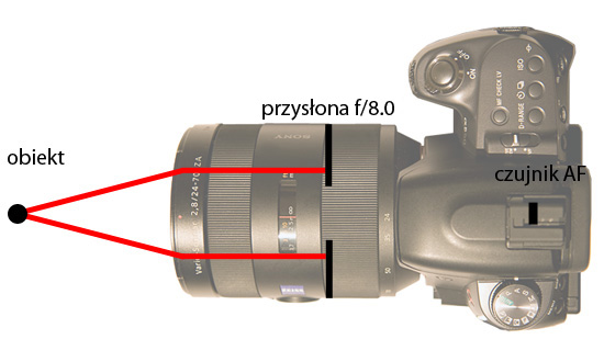 Wykorzystanie trybu seryjnego i autofokusu - Fotoszko�a Sony: Lekcja 5