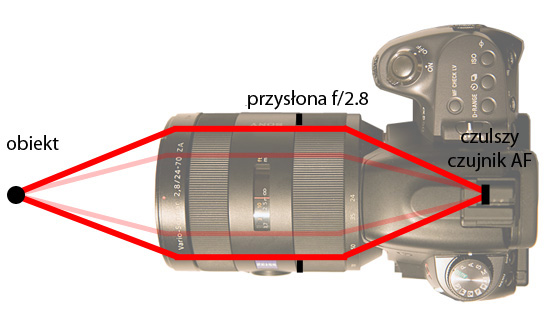 Wykorzystanie trybu seryjnego i autofokusu - Fotoszko�a Sony: Lekcja 5