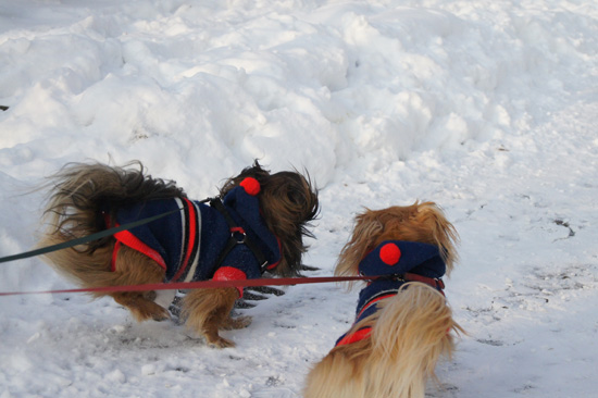 Wykorzystanie trybu seryjnego i autofokusu - Fotoszko�a Sony: Lekcja 5