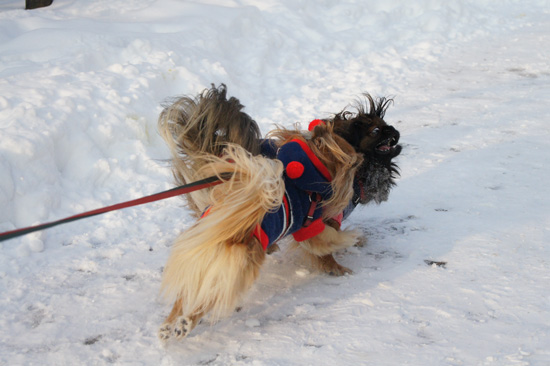 Wykorzystanie trybu seryjnego i autofokusu - Fotoszko�a Sony: Lekcja 5