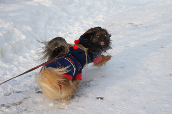 Wykorzystanie trybu seryjnego i autofokusu - Fotoszko�a Sony: Lekcja 5