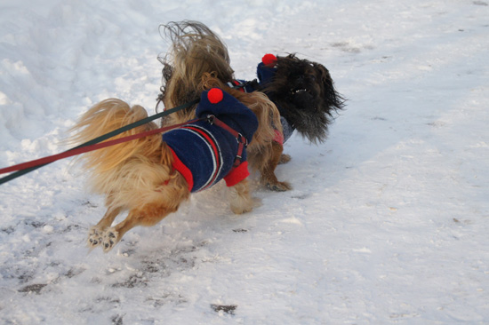 Wykorzystanie trybu seryjnego i autofokusu - Fotoszko�a Sony: Lekcja 5