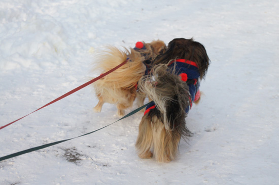 Wykorzystanie trybu seryjnego i autofokusu - Fotoszko�a Sony: Lekcja 5
