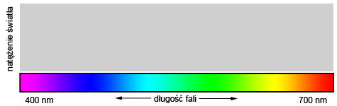 Balans bieli - Fotoszko�a Sony: Lekcja 6