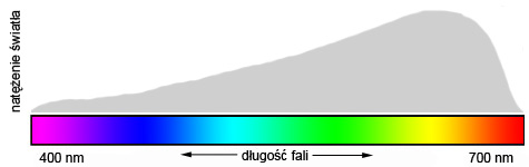Balans bieli - Fotoszko�a Sony: Lekcja 6