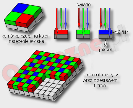 Balans bieli - Fotoszko�a Sony: Lekcja 6