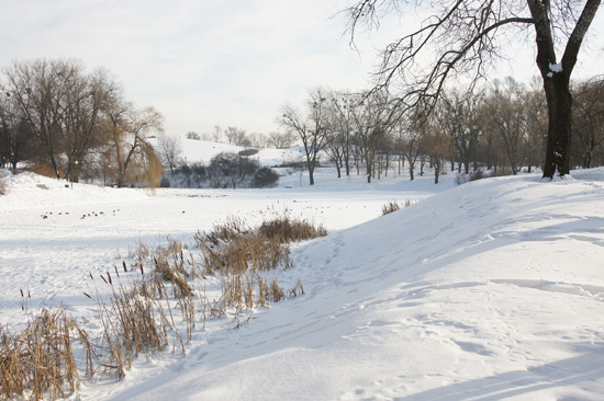 Balans bieli - Fotoszko�a Sony: Lekcja 6