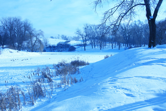 Balans bieli - Fotoszko�a Sony: Lekcja 6