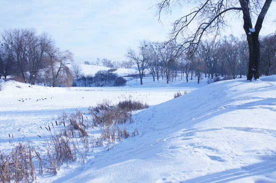 Balans bieli - Fotoszko�a Sony: Lekcja 6