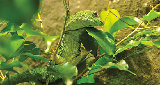 O ostrości - Otwarcie przysłony O ostrości - Otwarcie przysłony