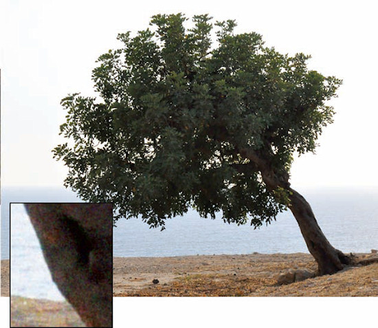 O ostro�ci - Ustawienie czu�o�ci