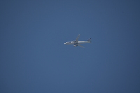 Nikkor Z 600 mm f/6.3 VR S - zdjcia przykadowe