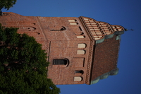 Sony FE 200-600 mm f/5.6-6.3 G OSS - zdjcia przykadowe