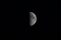 Sony FE 200-600 mm f/5.6-6.3 G OSS - zdjcia przykadowe