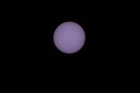 Sony FE 200-600 mm f/5.6-6.3 G OSS - zdjcia przykadowe