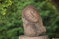 Nikkor Z 180-600 mm f/5.6-6.3 VR - zdjcia przykadowe