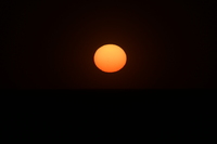 Nikkor Z 180-600 mm f/5.6-6.3 VR - zdjcia przykadowe