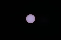 Nikkor Z 180-600 mm f/5.6-6.3 VR - zdjcia przykadowe