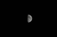 Nikkor Z 180-600 mm f/5.6-6.3 VR - zdjcia przykadowe