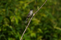 Tamron 150-500 mm f/5-6.7 Di III VC VXD - zdjcia przykadowe