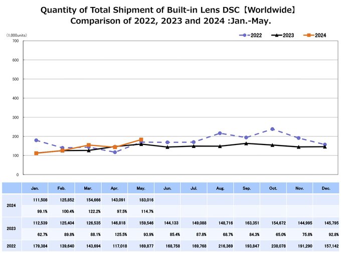 Raport CIPA - maj 2024 Raport CIPA - maj 2024