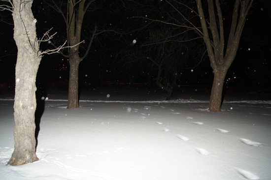 Wykorzystanie lampy b�yskowej -  Fotoszko�a Sony: Lekcja 7