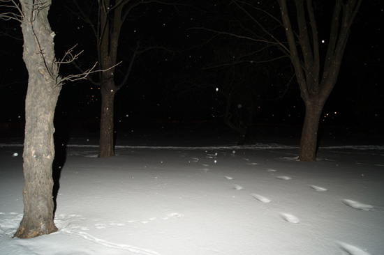 Wykorzystanie lampy b�yskowej -  Fotoszko�a Sony: Lekcja 7