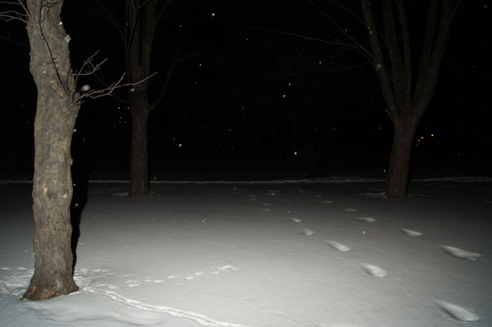 Wykorzystanie lampy b�yskowej -  Fotoszko�a Sony: Lekcja 7