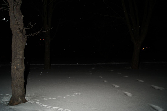 Wykorzystanie lampy b�yskowej -  Fotoszko�a Sony: Lekcja 7