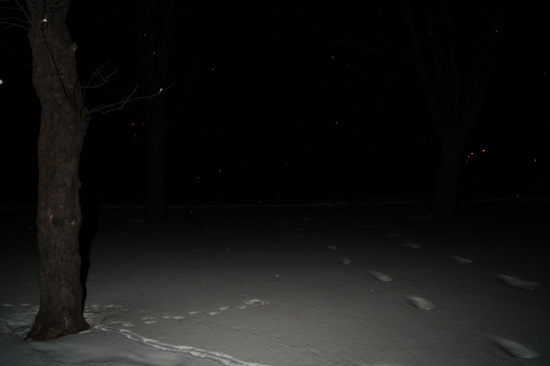 Wykorzystanie lampy b�yskowej -  Fotoszko�a Sony: Lekcja 7