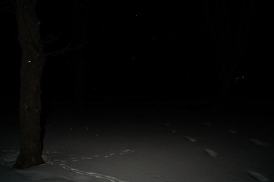 Wykorzystanie lampy b�yskowej -  Fotoszko�a Sony: Lekcja 7