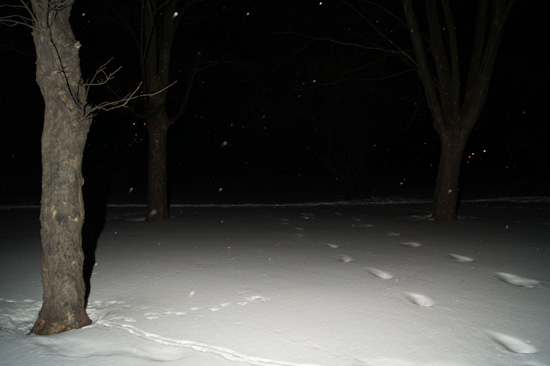 Wykorzystanie lampy b�yskowej -  Fotoszko�a Sony: Lekcja 7