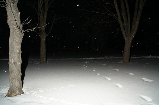 Wykorzystanie lampy b�yskowej -  Fotoszko�a Sony: Lekcja 7