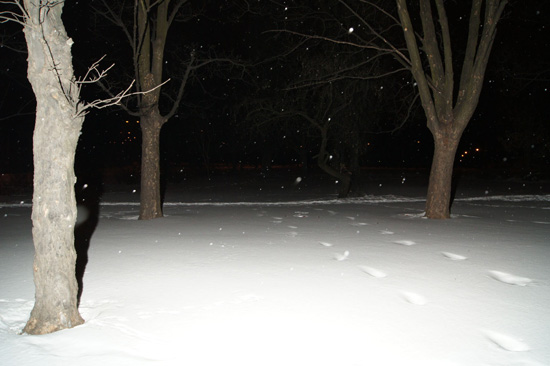 Wykorzystanie lampy b�yskowej -  Fotoszko�a Sony: Lekcja 7