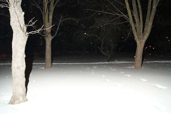 Wykorzystanie lampy b�yskowej -  Fotoszko�a Sony: Lekcja 7