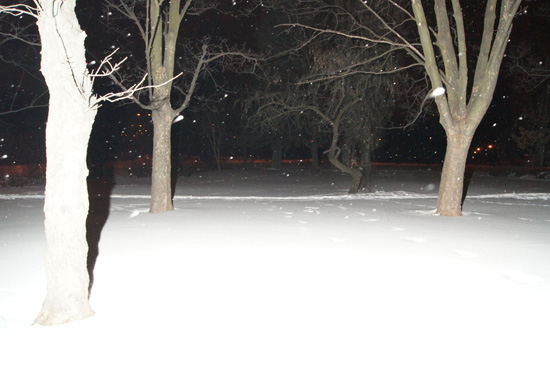 Wykorzystanie lampy b�yskowej -  Fotoszko�a Sony: Lekcja 7