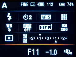 Wykorzystanie lampy b�yskowej -  Fotoszko�a Sony: Lekcja 7